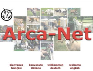 arca-net.info