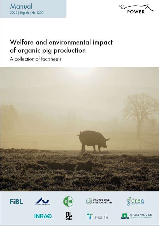 Welfare and environmental impact of organic pig production