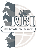 RBI Logo